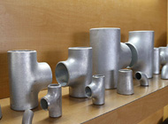 Titanium Buttweld fitting