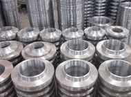 Stainless & Duplex Steel flanges