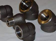 Carbon & Alloy Steel Forged fitting