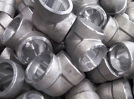 Hastelloy Forged fitting