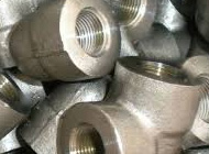 Inconel Forged fitting