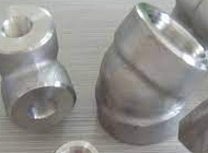 Titanium Forged fitting